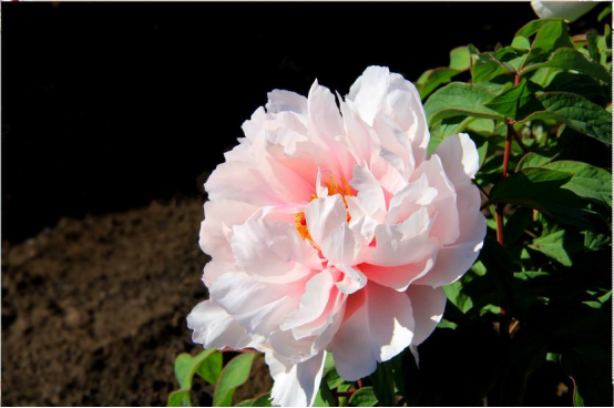 1618278321187025.png image.png