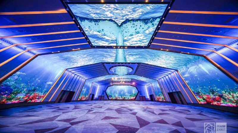 Z6·尊龙「中国区」官方网站