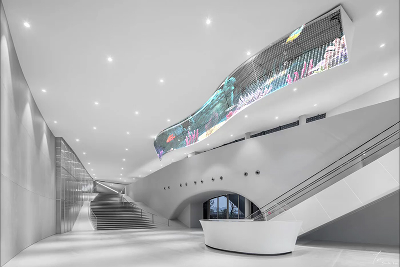 Z6·尊龙「中国区」官方网站